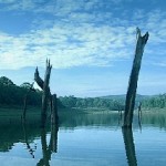 image001